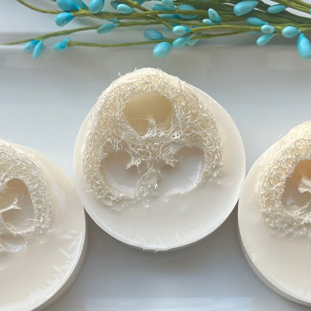 Loofah Soap Bar - Coconut Lime Verbena  Handmade